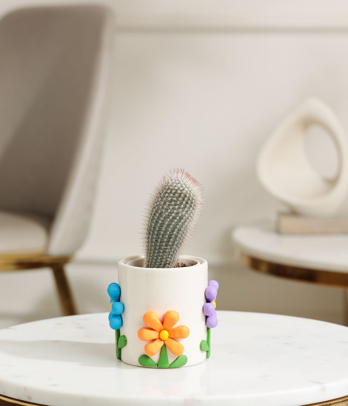 Old Man Cactus