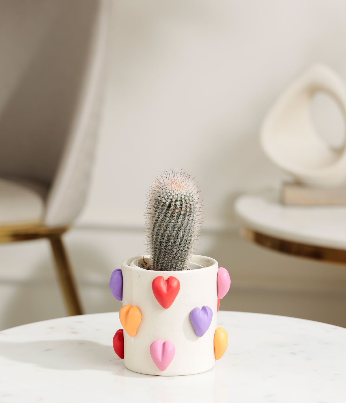 Old Man Cactus