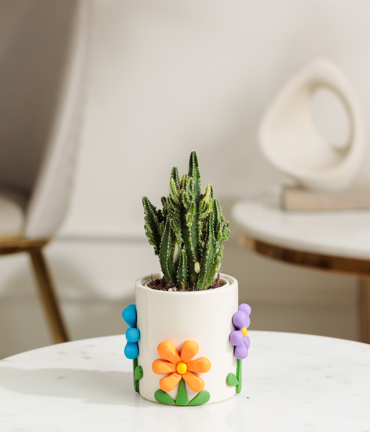 Fairy Castle Cactus