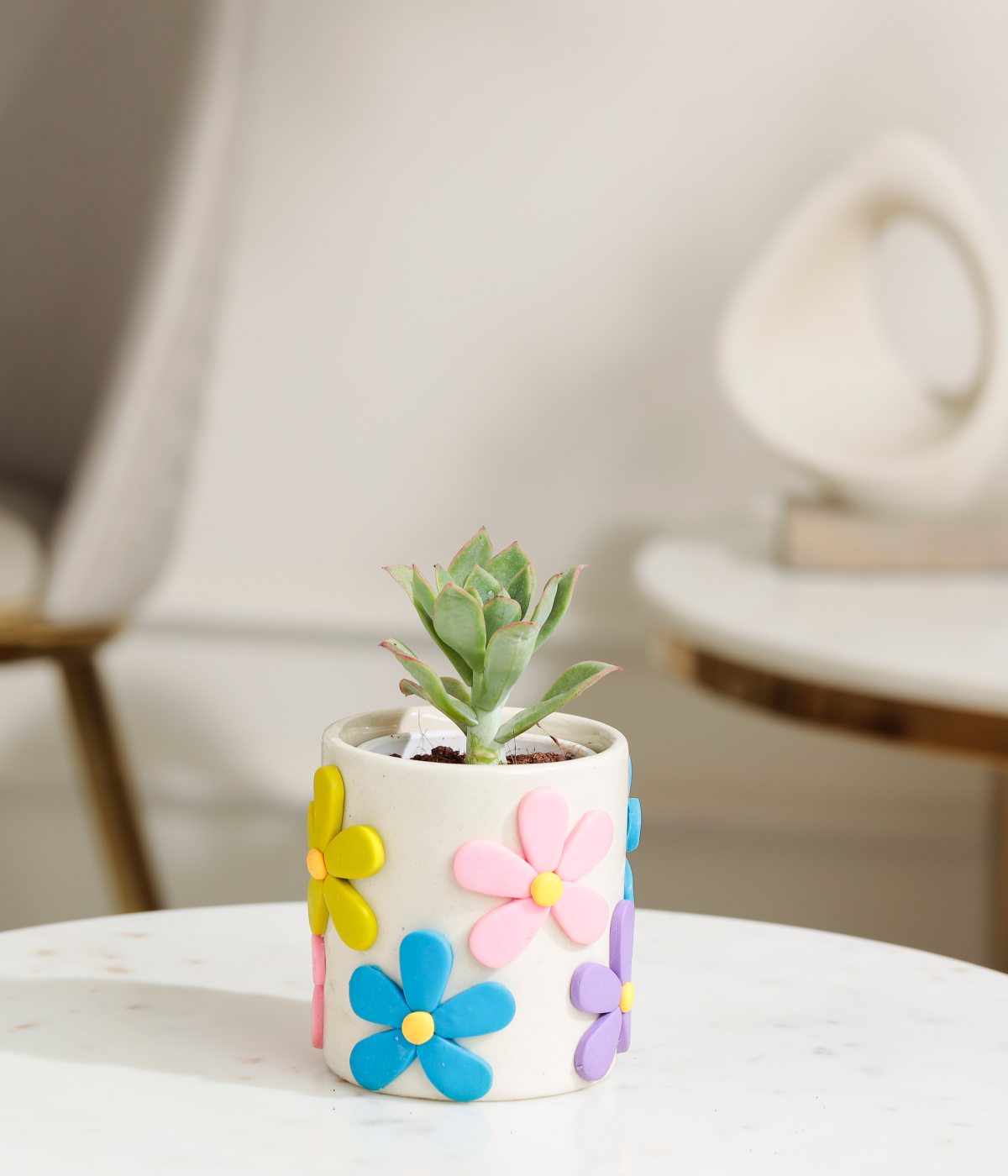 Lotus Succulent