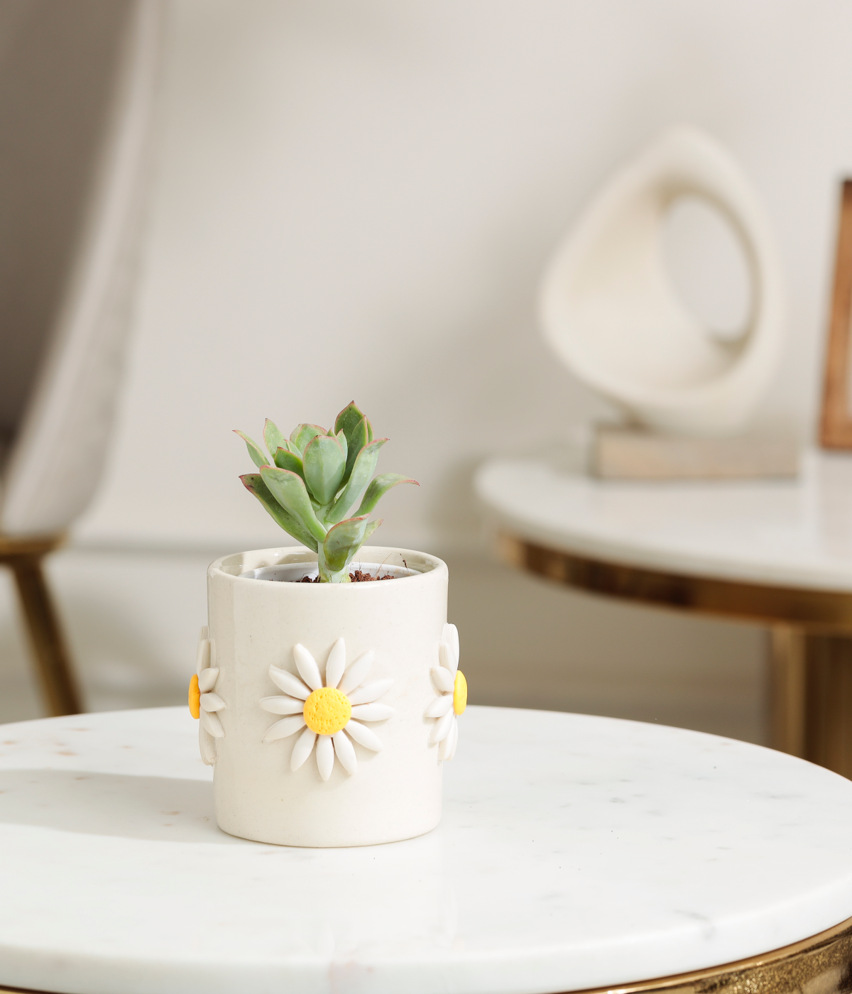 Lotus Succulent