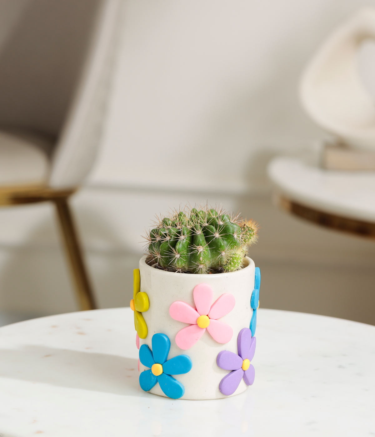 Golden Barrel Cactus