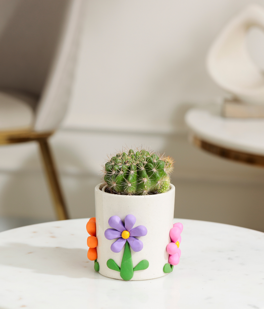 Golden Barrel Cactus