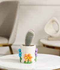 Old Man Cactus