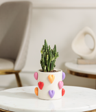 Fairy Castle Cactus