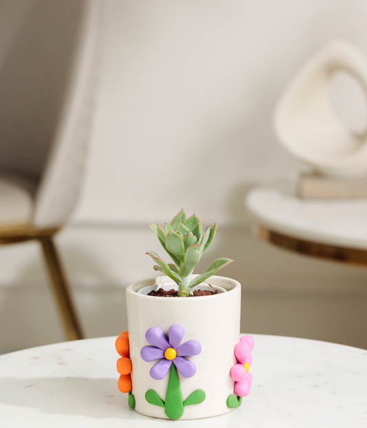 Lotus Succulent