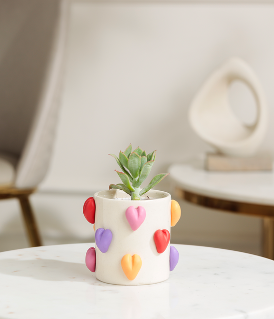 Lotus Succulent